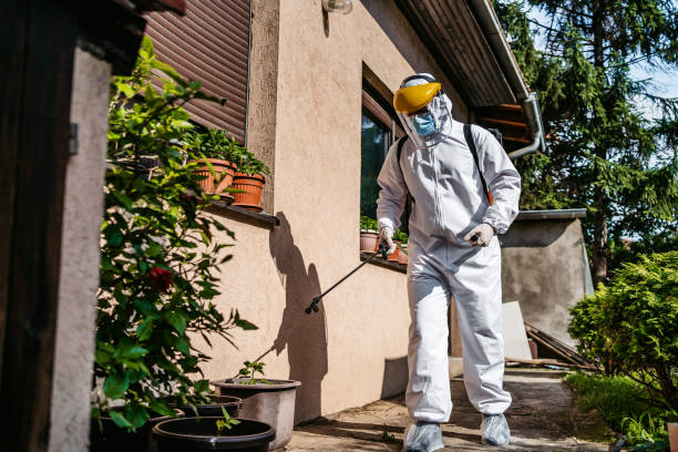 Best Pest Inspection Near Me  in Pineland, TX