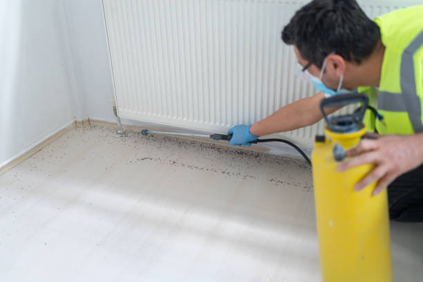 Best Cockroach Control Services  in Pineland, TX